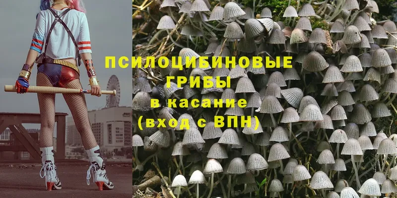 Галлюциногенные грибы MAGIC MUSHROOMS  даркнет сайт  Камышин 